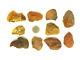 10 Stück (15-20g) Echter Roh Bernstein Rar Amber Stones Natural Baltic 164 Gramm