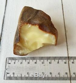 100% Natural Raw Baltic Amber 69g White Landscape Stone Kehribar Bernstein