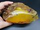 100% Natural Stone 603 Gr Amber Baltic Original Rock Genuine RAW Multicolor S11