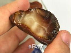 108GR Natural Royal Baltic Amber stones EXC