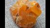 115 8 Gr Genuine Natural Baltic Amber Raw Stone Egg Yolk Butterscotch