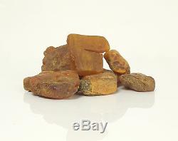 12 Stück (15-20g) Echter Roh Bernstein Rar Amber Stones Natural Baltic 187 Gramm