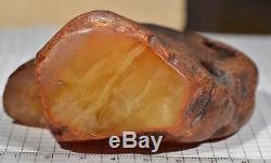 129,6 g Natural Baltic Sea Amber Huge Raw Stone EggYolk antique butterscotch