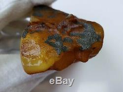 146.7 gr Amber Baltic Stone 100%Natural Original Rock RAW Genuine Multicolor R56