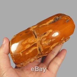 150.95g 100% Natural Polished Baltic Butterscotch Amber Antique Egg Yolk YRL38