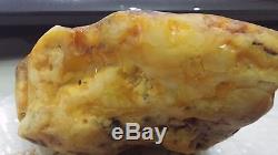 157,9 gr Genuine Natural Raw Baltic Amber Butterscotch Stone