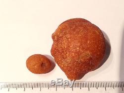 17.9g NUGGET BEAD DROP FORM Baltic Amber Natural Butterscotch rough stones