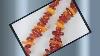 17 Natural Baltic Amber Nugget Chips Beaded Necklace Egg Yolk Cognac 21 49g