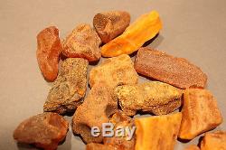 18 Stück (10-15g) Echter Roh Bernstein Rar Amber Stones Natural Baltic 210 Gramm