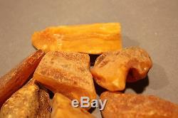 18 Stück (10-15g) Echter Roh Bernstein Rar Amber Stones Natural Baltic 210 Gramm