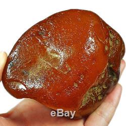 185.1g 100% Natural Baltic Antique intact Butterscotch Egg Yolk Amber UWRL2R