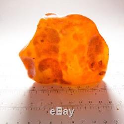 188 grams! Natural Untreated Baltic Amber Stone Rough Raw