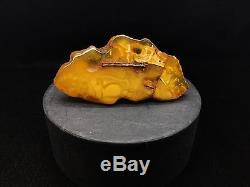 19,8g Natural Old Very Rare Baltic Amber Brooch Cloud Butterscotch Bernstein