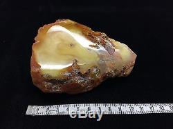 193g Natural Baltic Amber Stone Mat and Transparent Yellow Clouds Bernstein