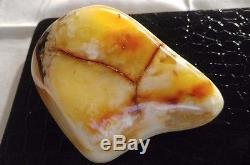 210.7 Gram Royal White Polished Rare Natural Baltic Amber Raw Stone