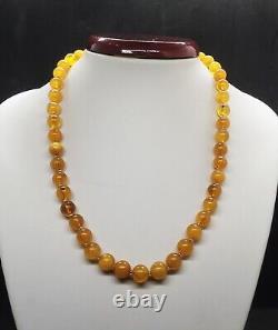 22.98g Antique Butterscotch Swirl Egg Yolk Baltic Amber Graduated Bead Necklace