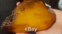 246 gr. Raw pendant natural Baltic amber stone egg yolk honey butterscotch color