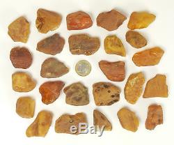 25 Stück Echter Roh Bernstein Rar Amber Stones Natural Baltic 211 Gramm