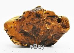 289.4gr. Huge Big Real Natural Genuine Antique White Bone Baltic Amber Bernstein