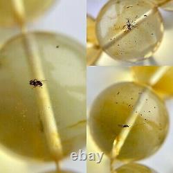 3 INCLUSION INSECT Big 20mm. Beads Natural Baltic Amber Islamic Prayer Rosary