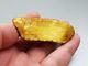 30.05 gr. Natural Butterscotch Egg Yolk Baltic Amber Stone