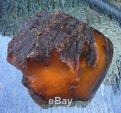 308 grams Large Rare Russian Baltic Amber Natural Antique raw rough stone