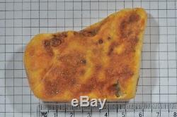 37,3 g Natural Baltic Sea Amber Huge Raw Stone EggYolk antique butterscotch