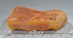 37,3 g Natural Baltic Sea Amber Huge Raw Stone EggYolk antique butterscotch