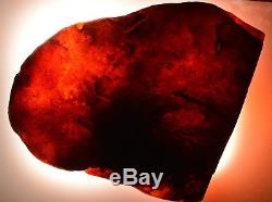 371.7 g Huge Natural Baltic Sea Amber Raw Stone EggYolk antique butterscotch