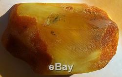 40.91 gm Vintage Butterscotch Egg Yolk Color Genuine Natural Baltic Amber Stone