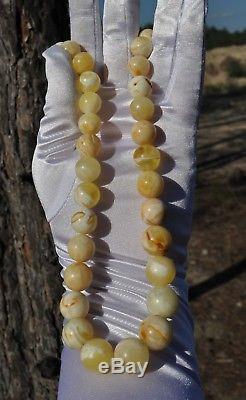 43.44gr Large Real Old Eggyolk White Natural Baltic Amber Necklace Round Beads