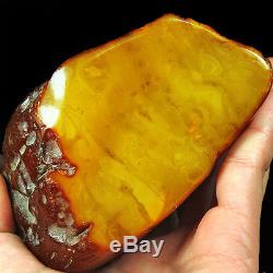 434.4g 100% Natural Baltic Butterscotch Amber Antique Egg Yolk WRL11