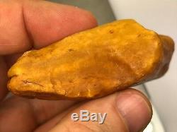 43gr Royal Natural Raw Baltic Amber stone
