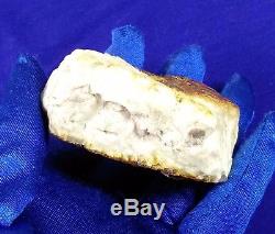 44.98g Huge Big Real Natural Genuine Antique White Bone Baltic Amber Bernstein
