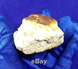 44.98g Huge Big Real Natural Genuine Antique White Bone Baltic Amber Bernstein