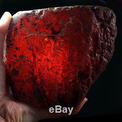 455.9g 100% Natural Intact Baltic Butterscotch Amber Antique Egg Yolk WRL3