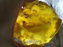 471 gr. Natural baltic amber stone. Raw amber stone rock 471 grams bernstein