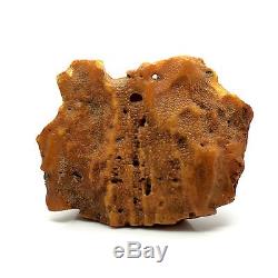 483,6g Natural Rare Baltic Amber Stone Mat Yellow Beeswax Colour Bernstein
