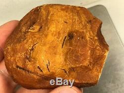 51gr Natural Marble White Type Baltic Amber stone