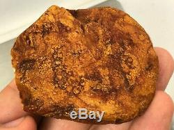 51gr Natural Marble White Type Baltic Amber stone