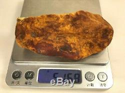 51gr Natural Royal Tiger type Baltic Amber stone