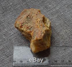 52,9 gr Genuine natural baltic amber raw stone cognac egg yolk butterscotch