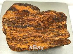 54gr White type Natural Raw Baltic Amber stone