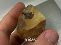 56GR Natural Royal Baltic Amber stone