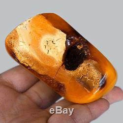 57.3g Natural Polished Old Baltic Butterscotch Amber Antique Egg Yolk YRL6