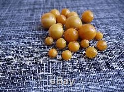 58 Grams Butterscotch Natural Baltic Amber Loose Beads With Holes 19 beads