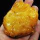 62.12g 100% Natural Baltic Butterscotch Amber Carving Dragon CRD4