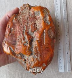625,4gr Butterscotch Egg York Genuine Natural Genuine Raw Baltic Amber Stone