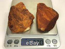62GR Natural Royal Baltic Amber stones
