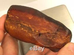 65GR Natural Raw Baltic Amber stone